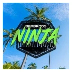 Barbados Ninja Throwdown logo